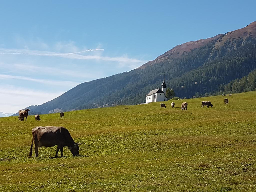 Chalet Daheim Reckingen Zewnętrze zdjęcie